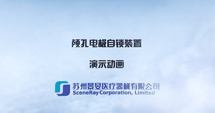 脑内电极固定技术